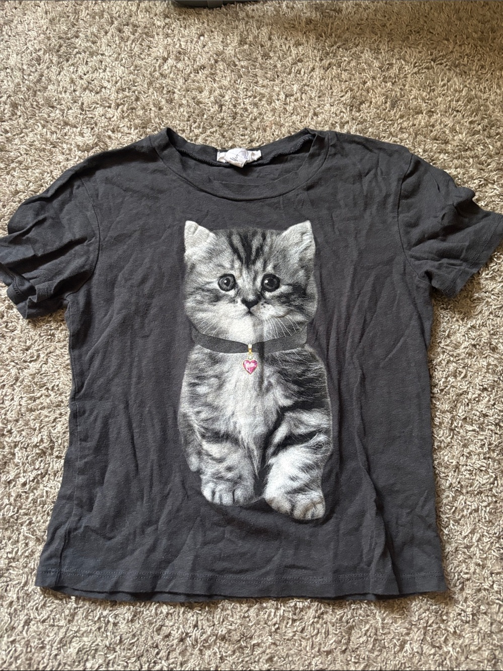 Women's Black T-Shirt with Grey Kitten Graphic
